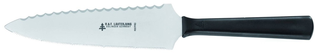 Tortenmesser und Heber Welle & Säge