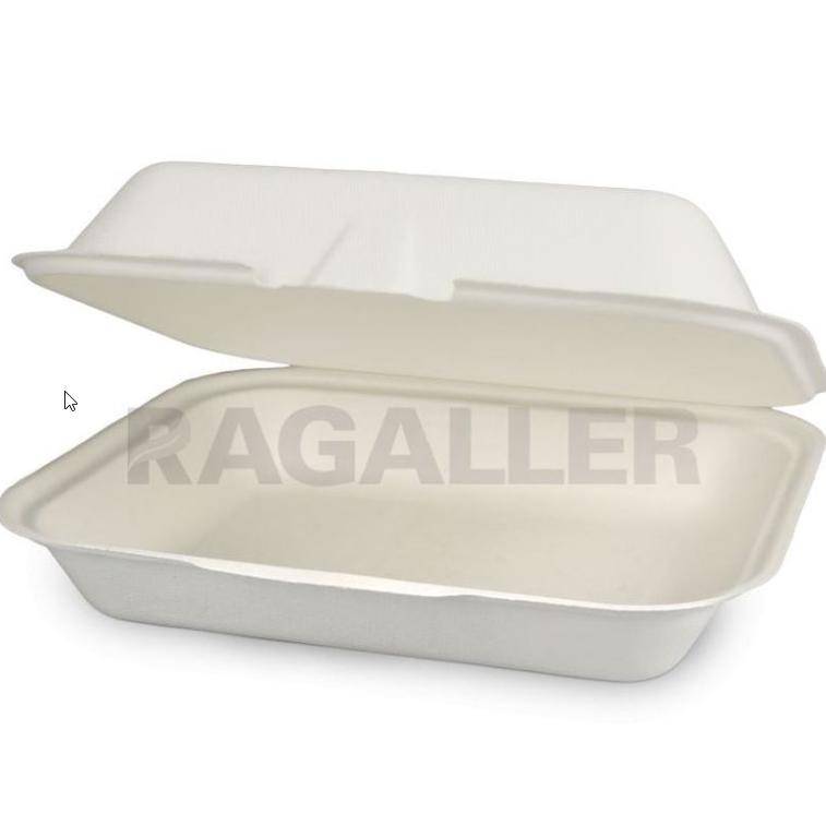 Menü-Box Bagasse ungeteilt, 24 x 20 x 8 cm, weiß | 200 Stück