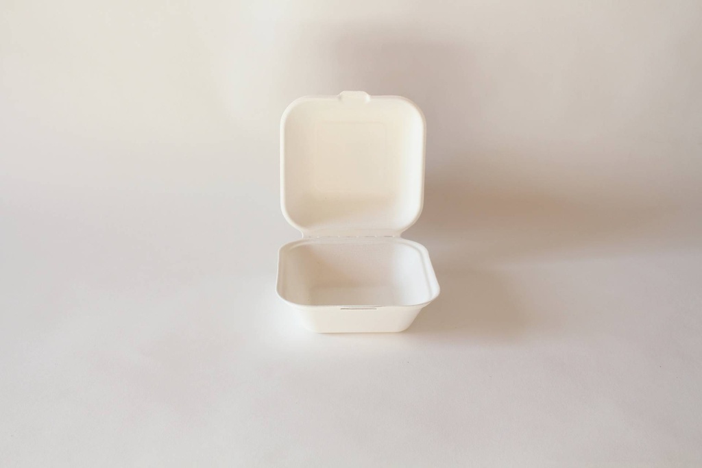 Burger Box M 100x100x80mm
