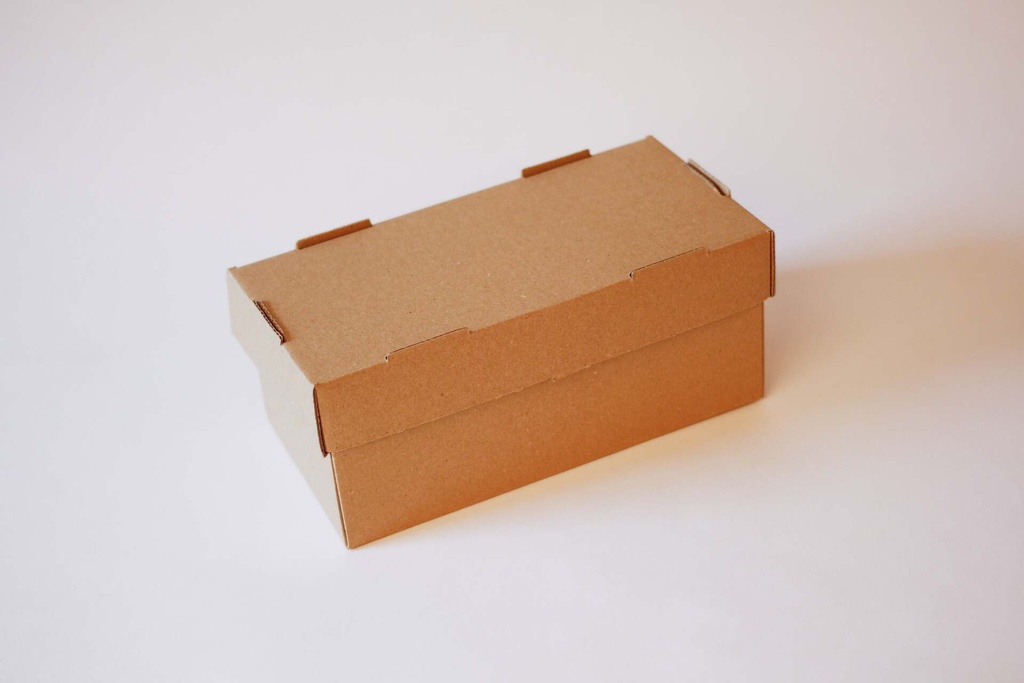 Doppel Burger Box 240×120×100 mm – 100 Stück