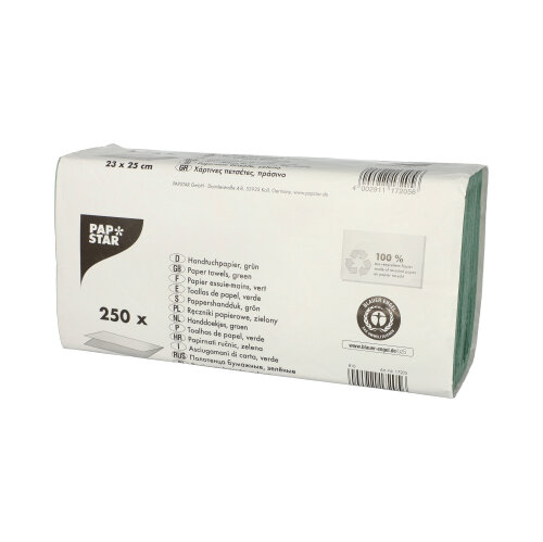 20 x 250 Blatt Handtuchpapier V-Falz 23 cm x 25 cm grün Zick Zack, 1-lagig