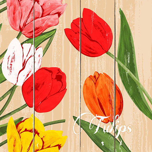 8 x 50 Servietten, 3-lagig 1/4-Falz 40 cm x 40 cm "Blooming Tulips"