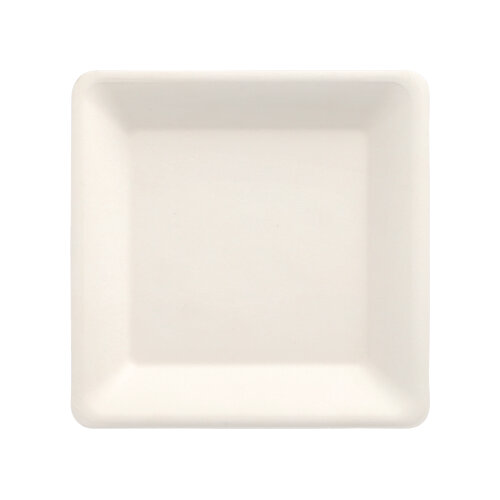 10 x 50 Teller, Zuckerrohr "pure" eckig 15,5 cm x 15,5 cm weiss
