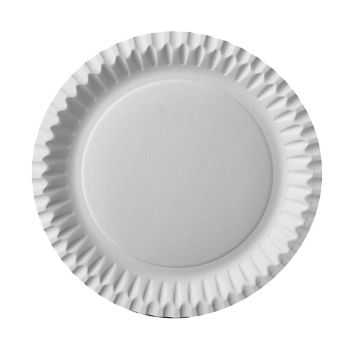 12 x 50 Teller, Pappe rund Ø 23 cm weiss