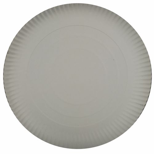 4 x 50 Teller, Pappe [rc] rund Ø 34 cm · 2 cm weiss