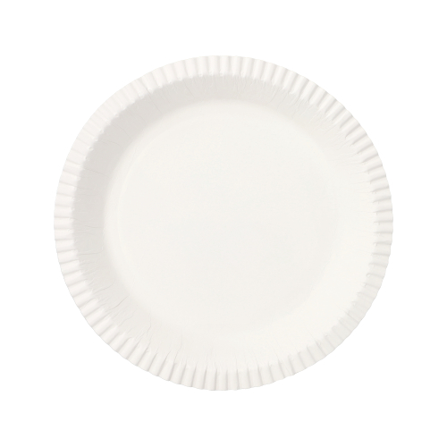 15 x 10 Schalen, Pappe rund Ø 19 cm · 2,4 cm weiss