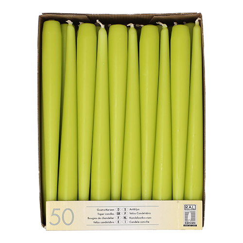 50 Leuchterkerzen Ø 2,2 cm · 25 cm limonengrün