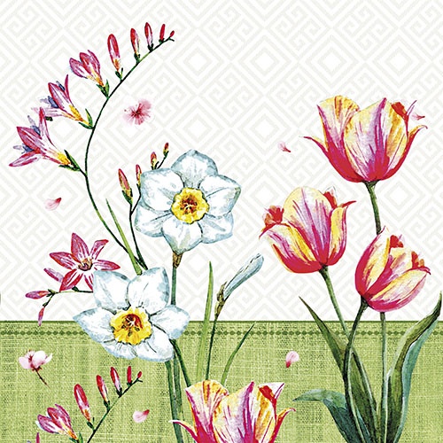 100 Servietten, 3-lagig 1/4-Falz 33 cm x 33 cm "Florentina"