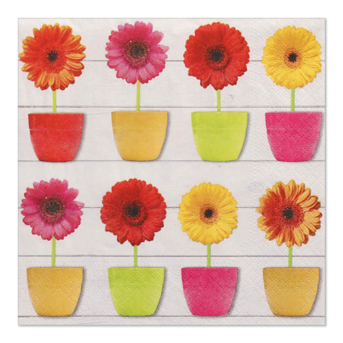 20 Servietten, 3-lagig 1/4-Falz 33 cm x 33 cm "Glowing Gerberas"