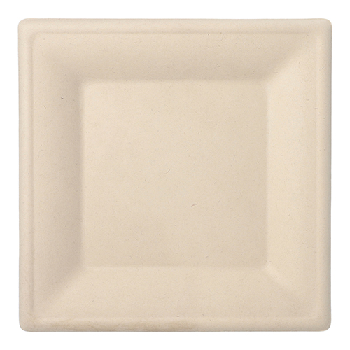 50 Teller, Zuckerrohr "pure" eckig 26 cm x 26 cm natur