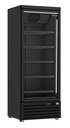 Tiefkühlschrank 1, 750 x 710 x 2003 mm, 600 L, schwarz
