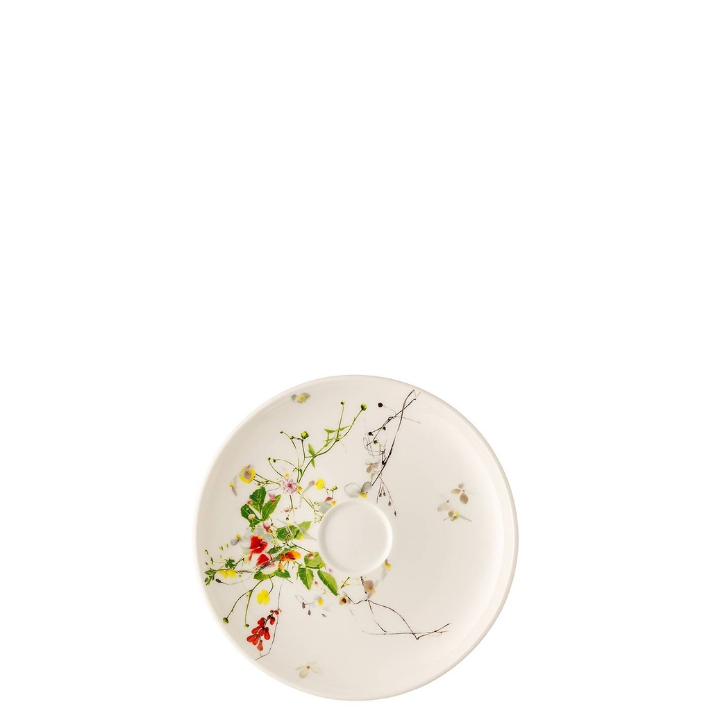 Rosenthal Brillance Fleurs Sauvages Kombi-Untertasse/Cp 16 cm