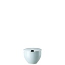 Rosenthal Junto Opal Green Zuckerdose mit Einschnitt 0,28 L