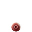 Rosenthal Bloom Scarlet Dose 0,3 L