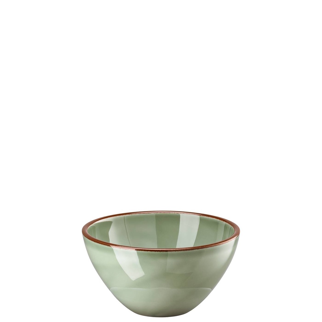 Rosenthal Profi Casual Moss Bowl 17 cm