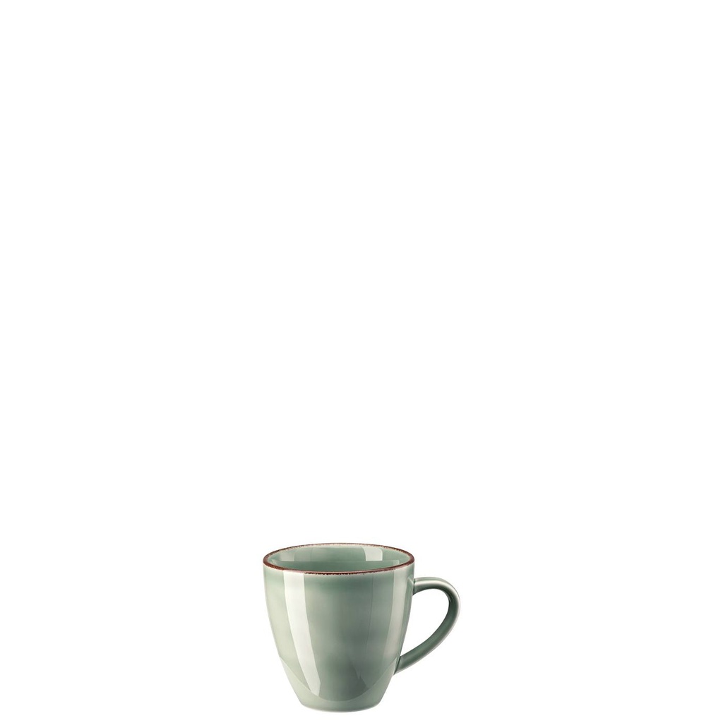 Rosenthal Profi Casual Moss Becher mit Henkel 0,35 L