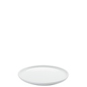 Rosenthal Profi Weiss Teller flach 22 cm