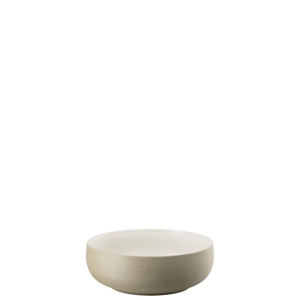 Rosenthal Joyn Stoneware Ash Bowl 16 cm 0,650 L