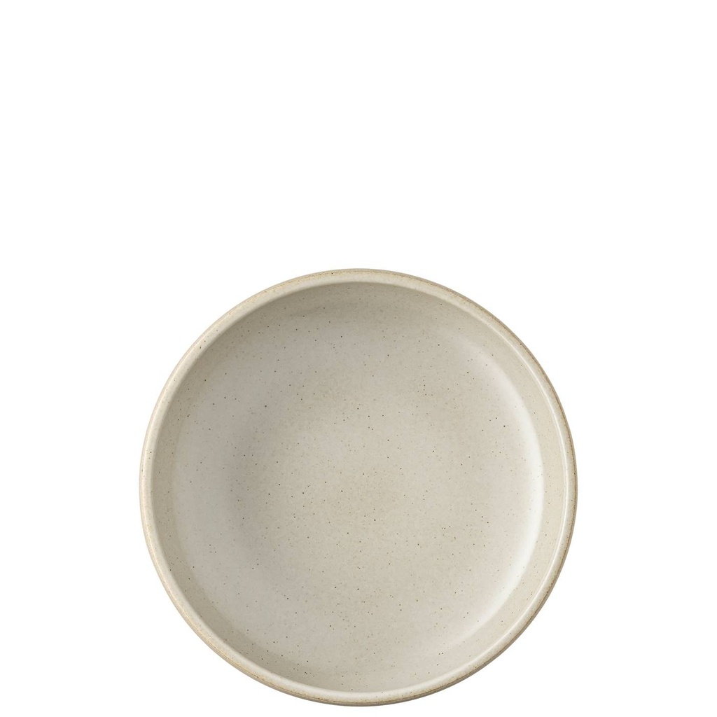 Rosenthal Joyn Stoneware Ash Multi-Bowl 21 cm 1,500 L