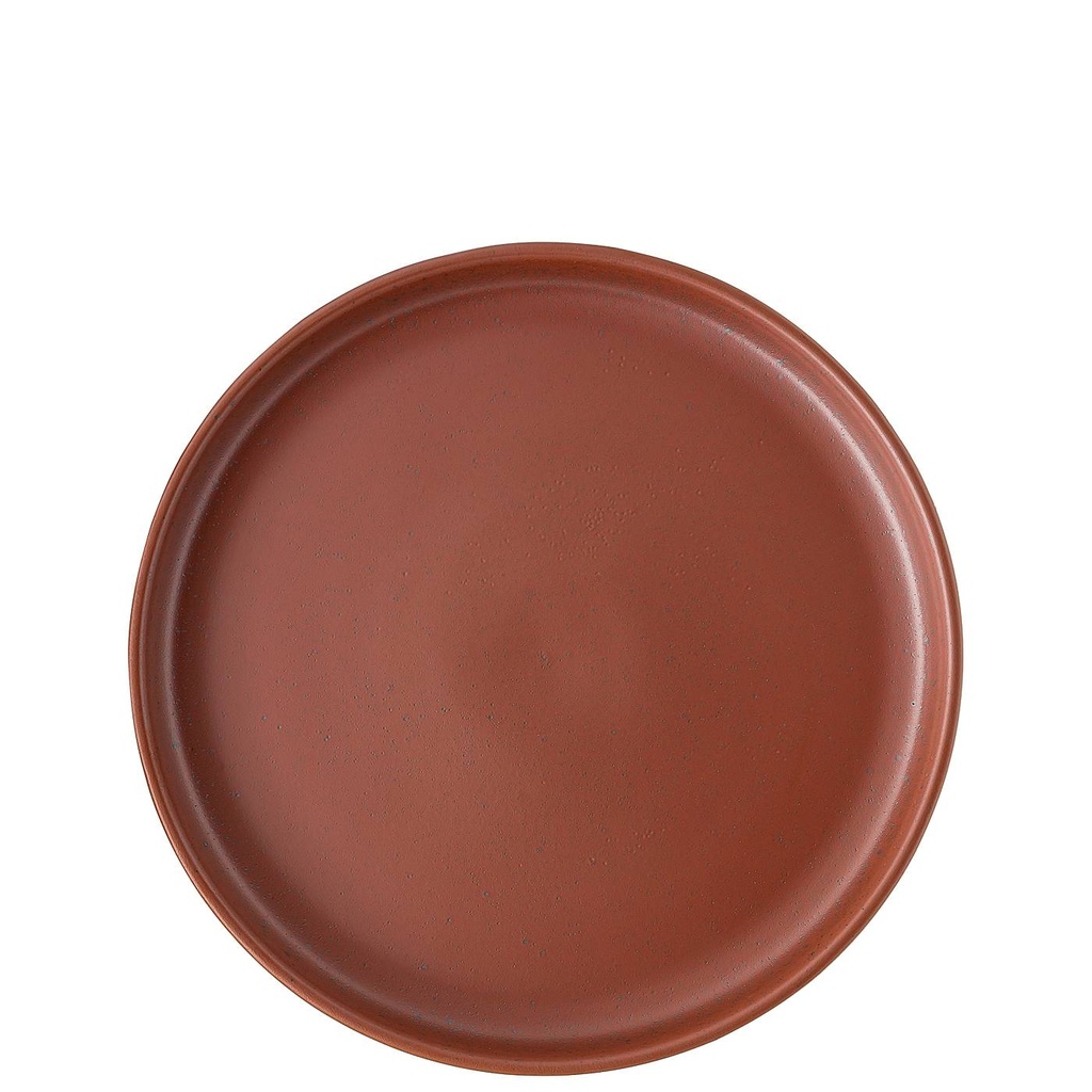 Rosenthal Joyn Stoneware Spark Gourmetteller 26 cm
