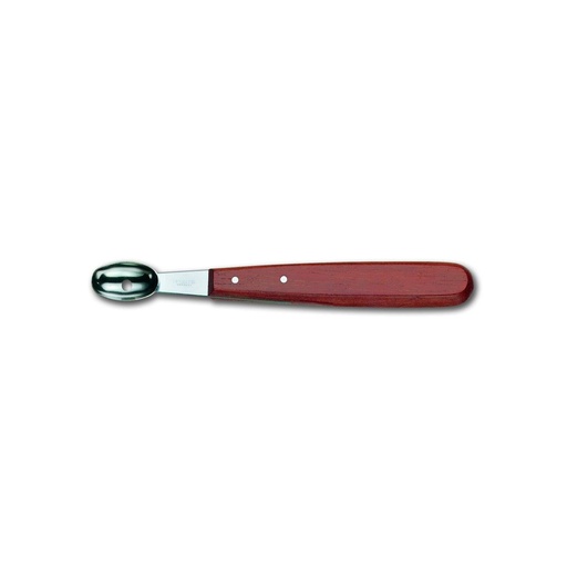 Kartoffelbohrer, oval