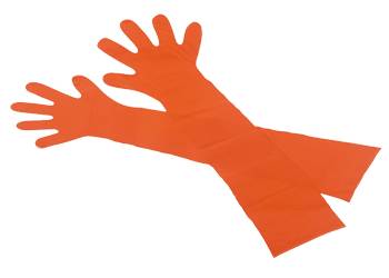 PE-Veterinärhandschuhe schulterlang, Universalgröße | 50 Stück