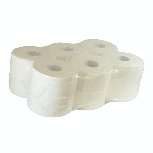 Toilettenpapier Großrolle 2-lagig, 100% Zellstoff, weiß,160 m, 890 Blatt, "STAR 19" | 12 Rollen/Sack