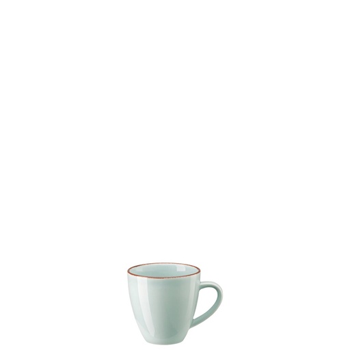 Rosenthal Profi Casual Mint Becher mit Henkel 0,35 L
