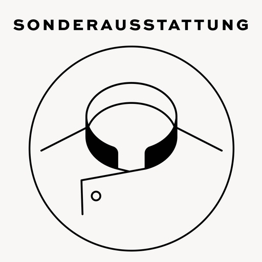 Einfarbiger Kragenspiegel