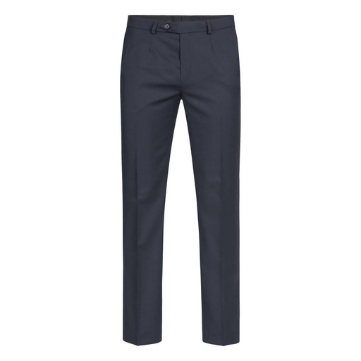 Herren-Hose marine, Regular Fit